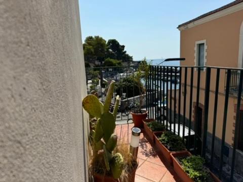 קטאניה Swim Apartment Fronte Mare מראה חיצוני תמונה